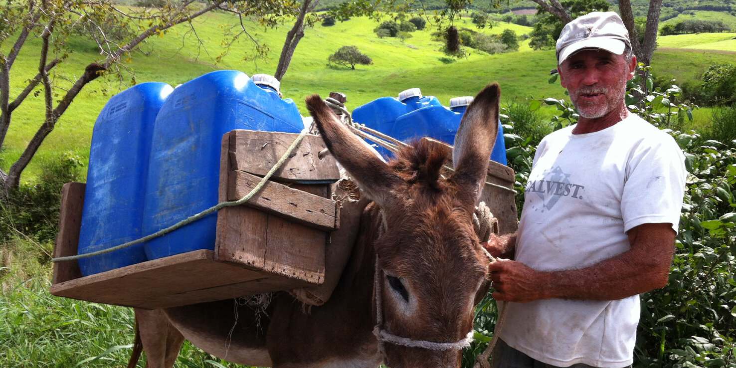 Man and Donkey
