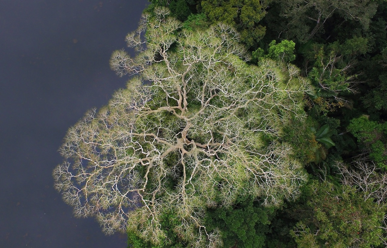 Photo credits: Daniel Rosengren