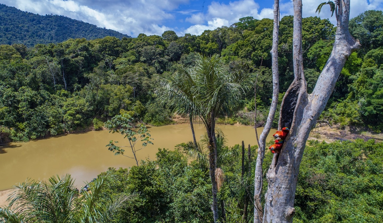 Kanuku Mountains Protected Area, Guyana | Photo credit: Daniel Rosengren