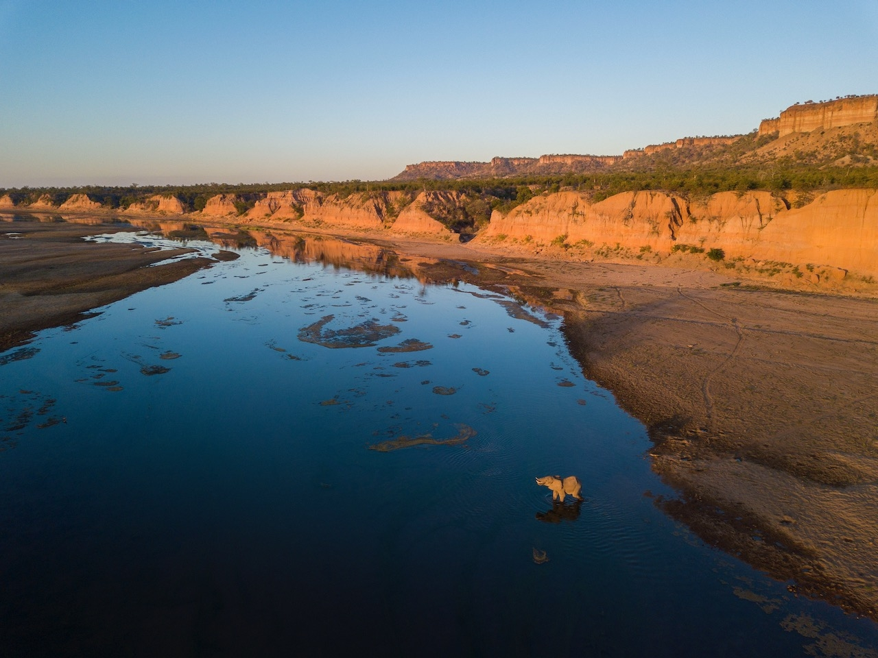 An Elephant in Gonarezhou National Park, Zimbabwe | Photo credit: Daniel Rosengren